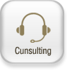 Cunsulting